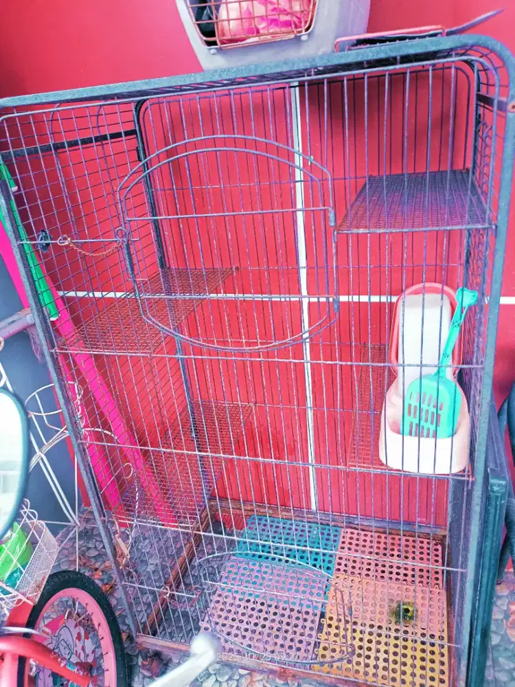 Kandang kucing besar