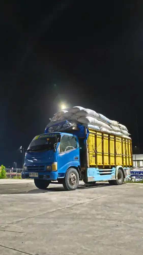 JUAL TRUCK DYNA LT 2004