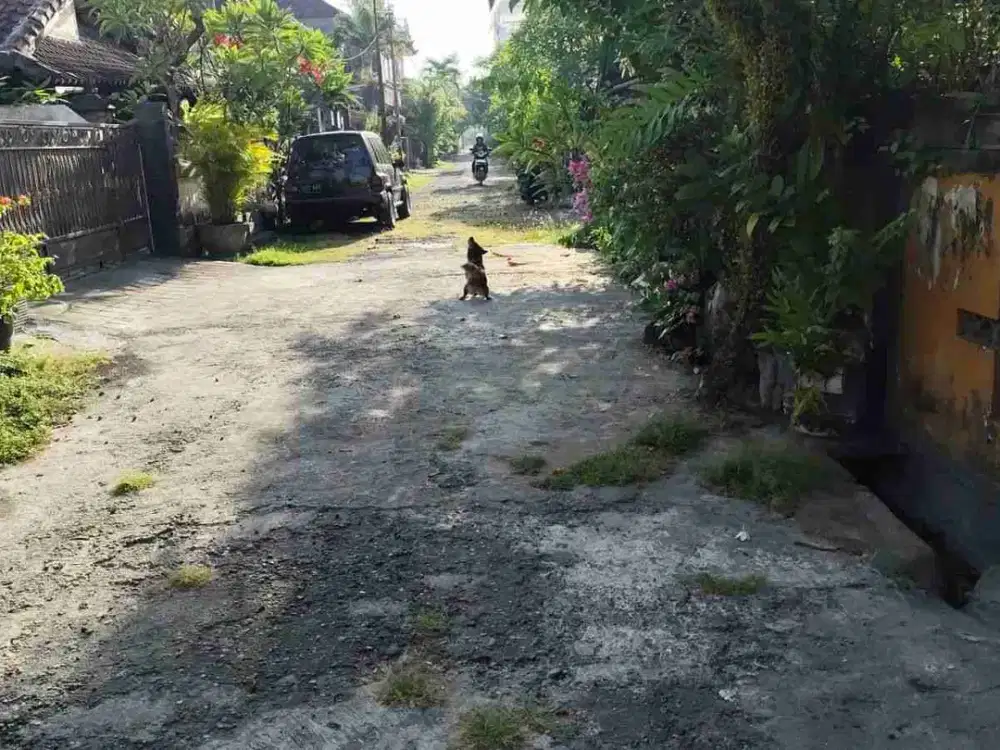 DIJUAL RUMAH LOKASI TUKAD BUAJI SESETAN DENPASAR SELATAN