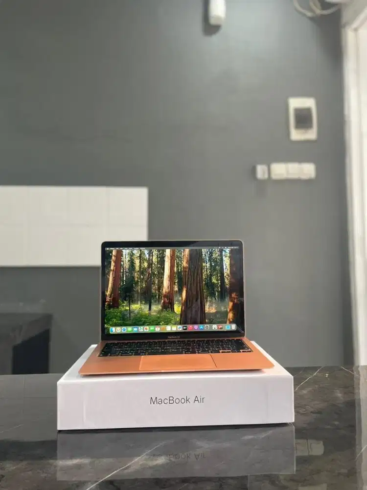 MacBook Air 13 inch 2020 i7 CTO RAM 16 GB/SSD 1 TB