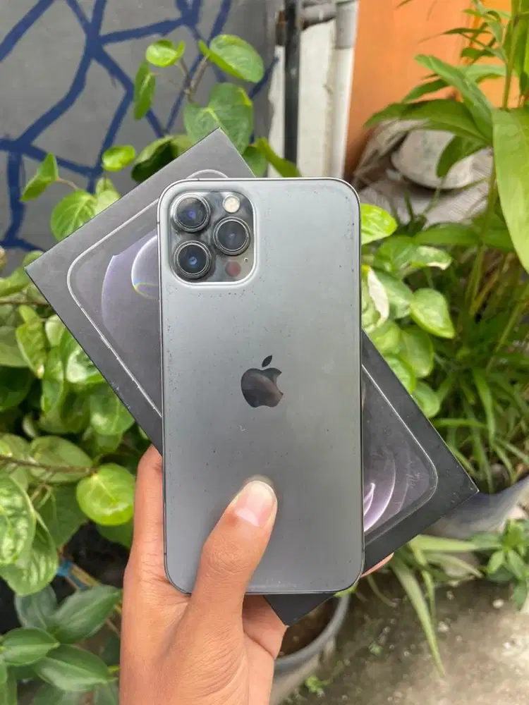 iPhone 12 ProMax 256Gb iBox