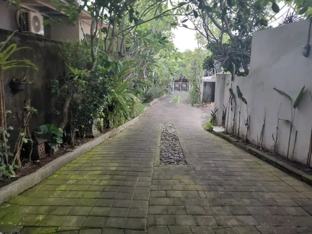 Tanah sewa langka 5 are pererenan badung bali