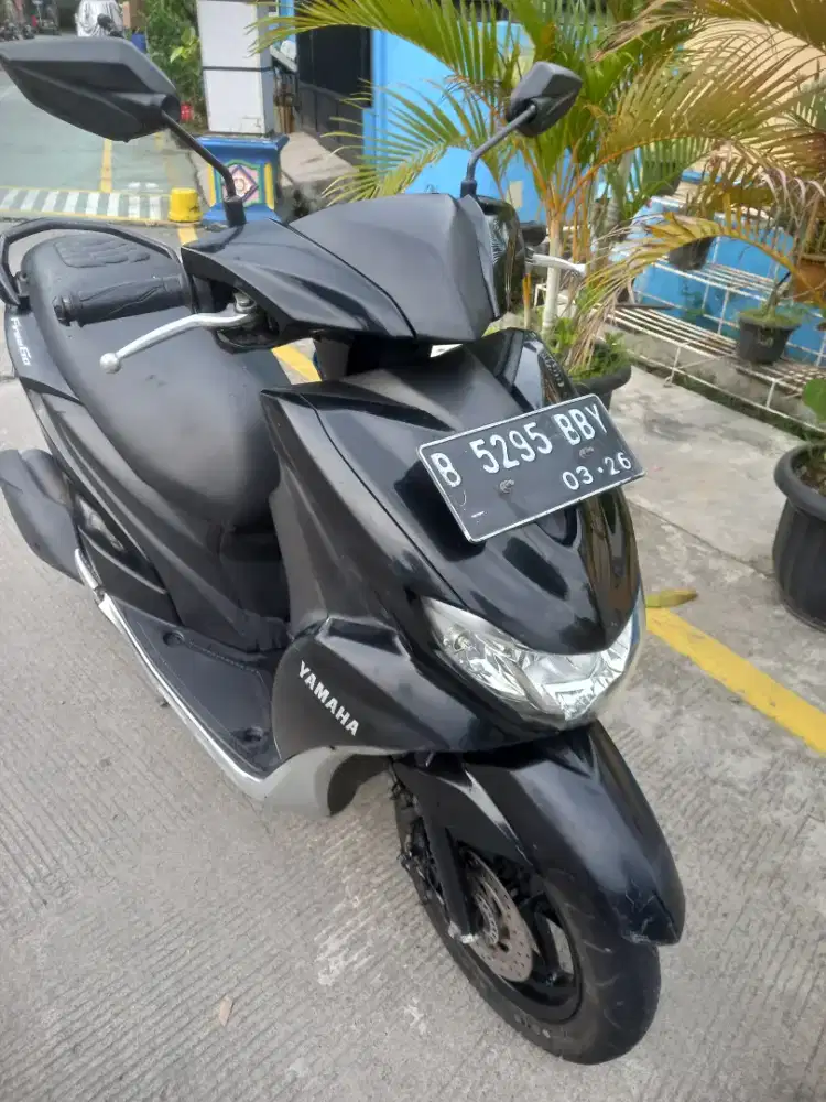 FreeGo 2020 pajak hidup