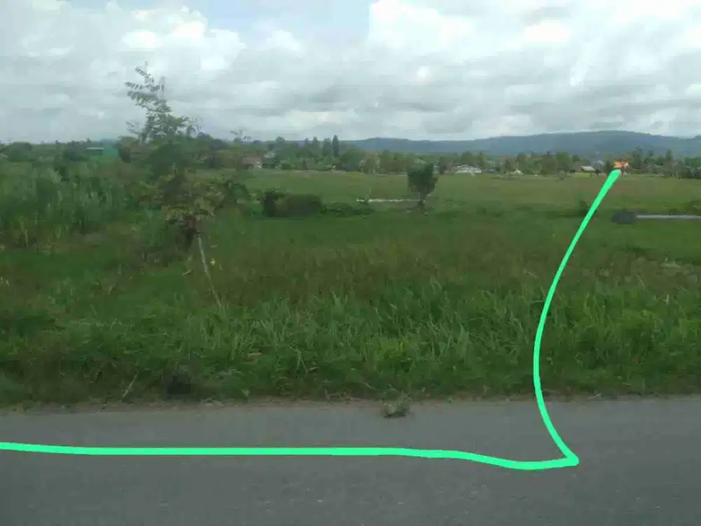 Jual Murah Tanah sawah pinggir aspal di keyongan sabdodadi Bantul Yogyakarta