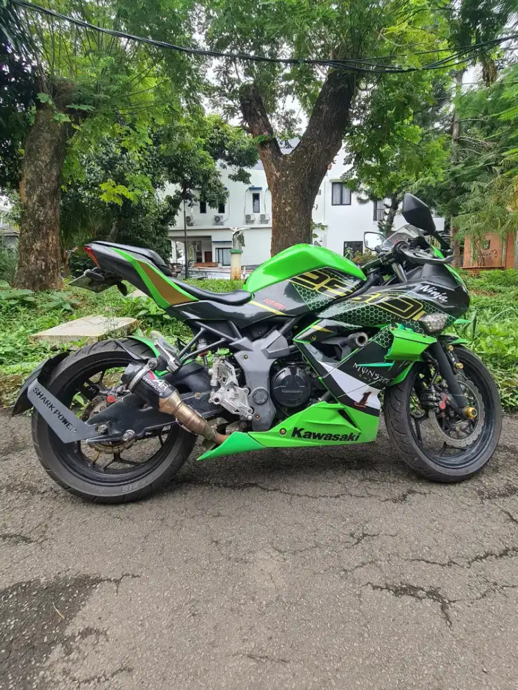 Kawasaki Ninja Mono 250