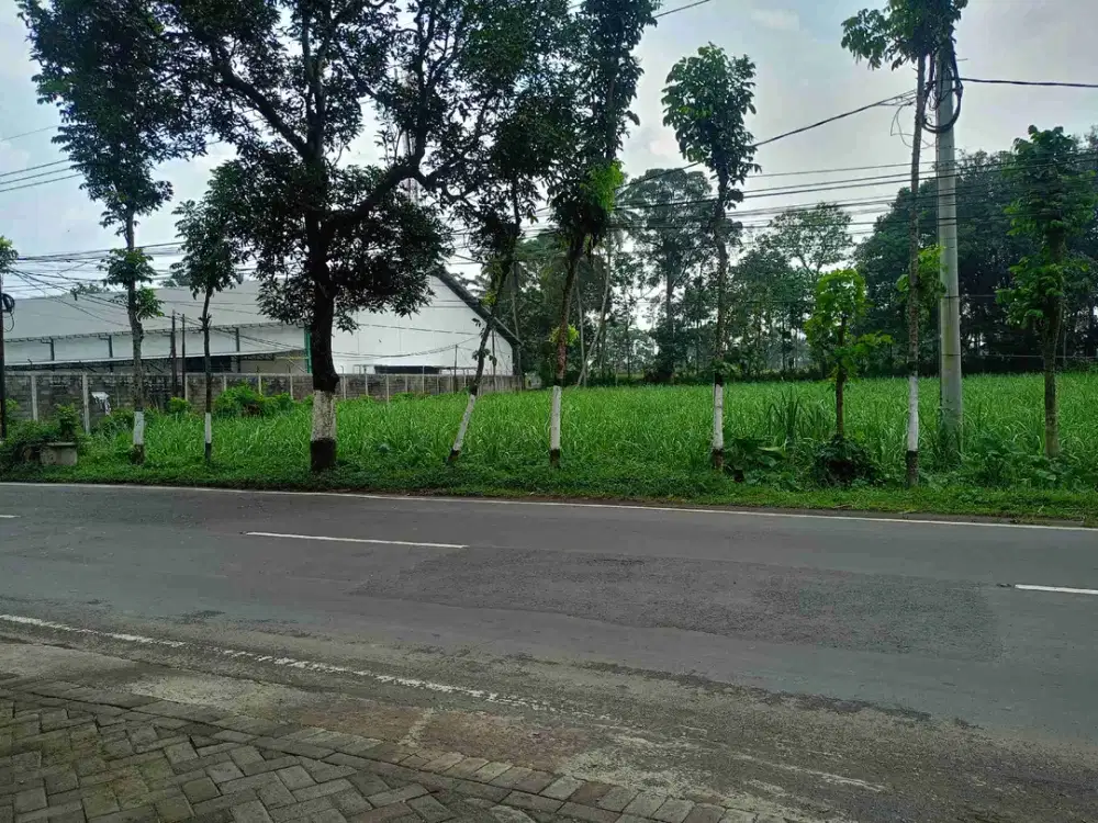TANAH DATAR LOKASI POROS BAKALAN BULULAWANG MALANG