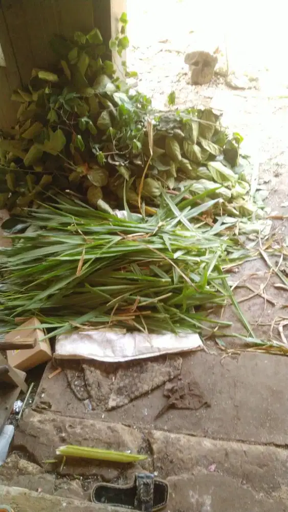 Driver setiap jumat malam sampai minggu malam