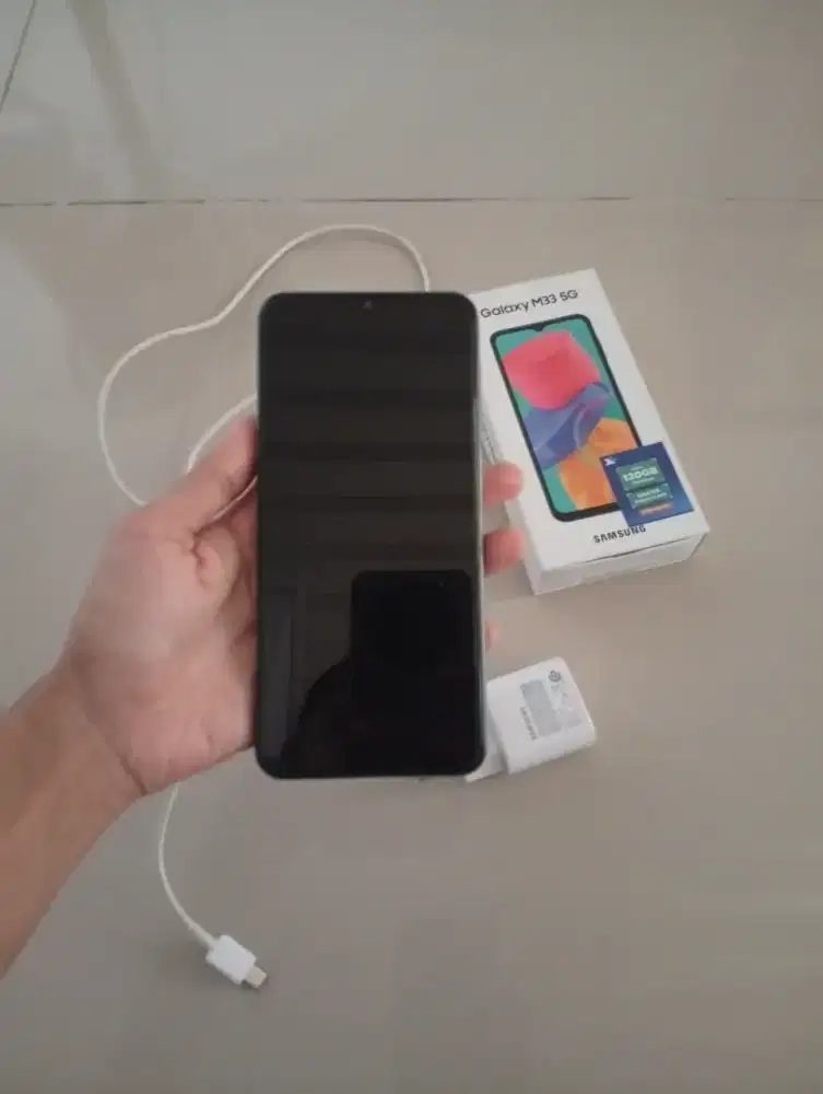 Samsung M33 5G Warna Mint 6/128GB