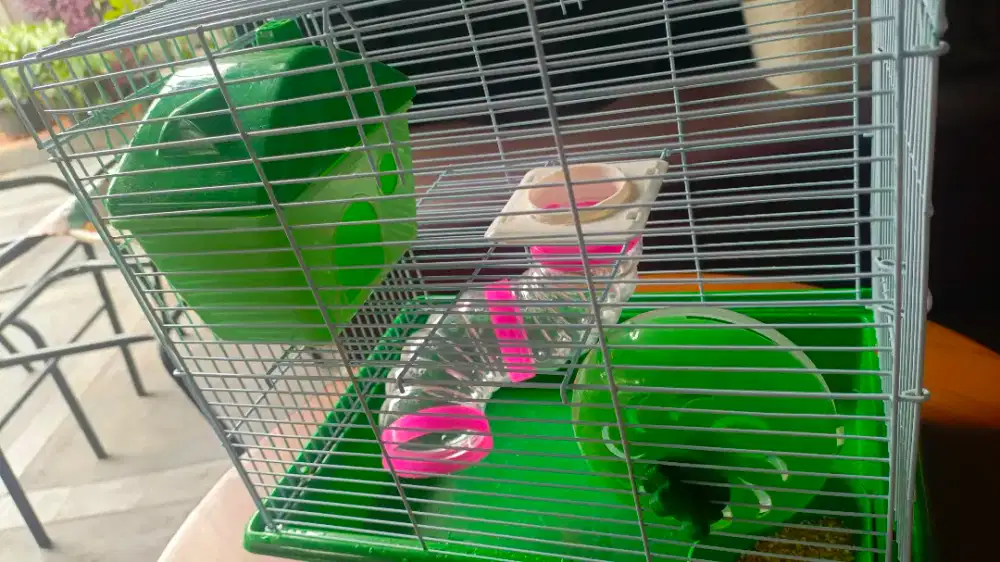 KANDANG HAMSTER