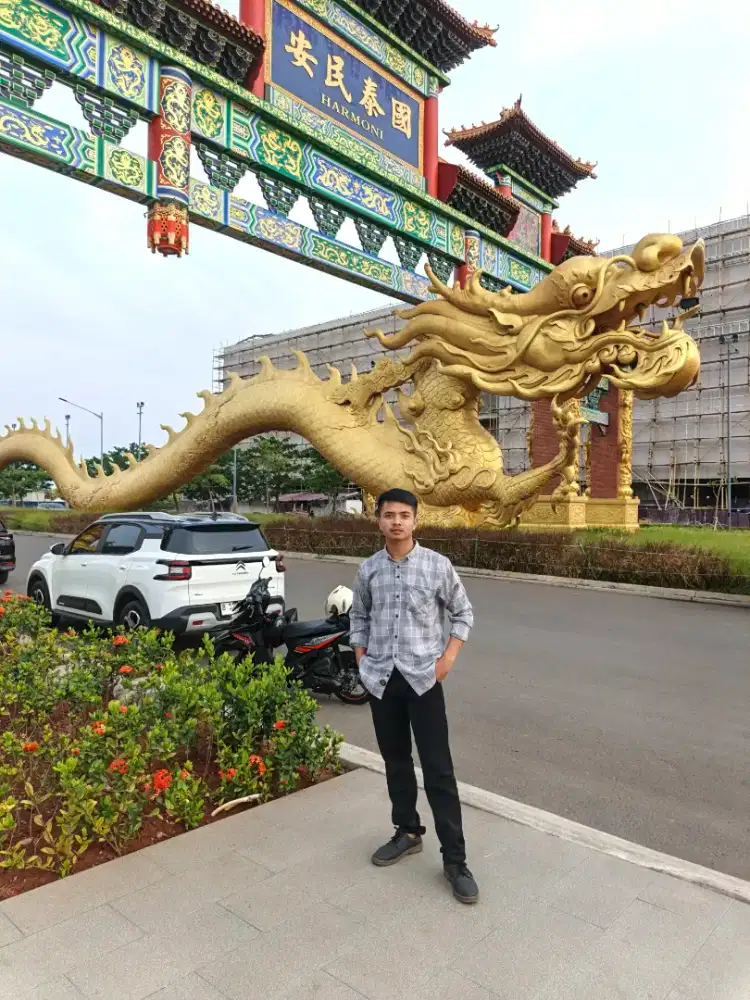 Supir pribadi atau angkutan
