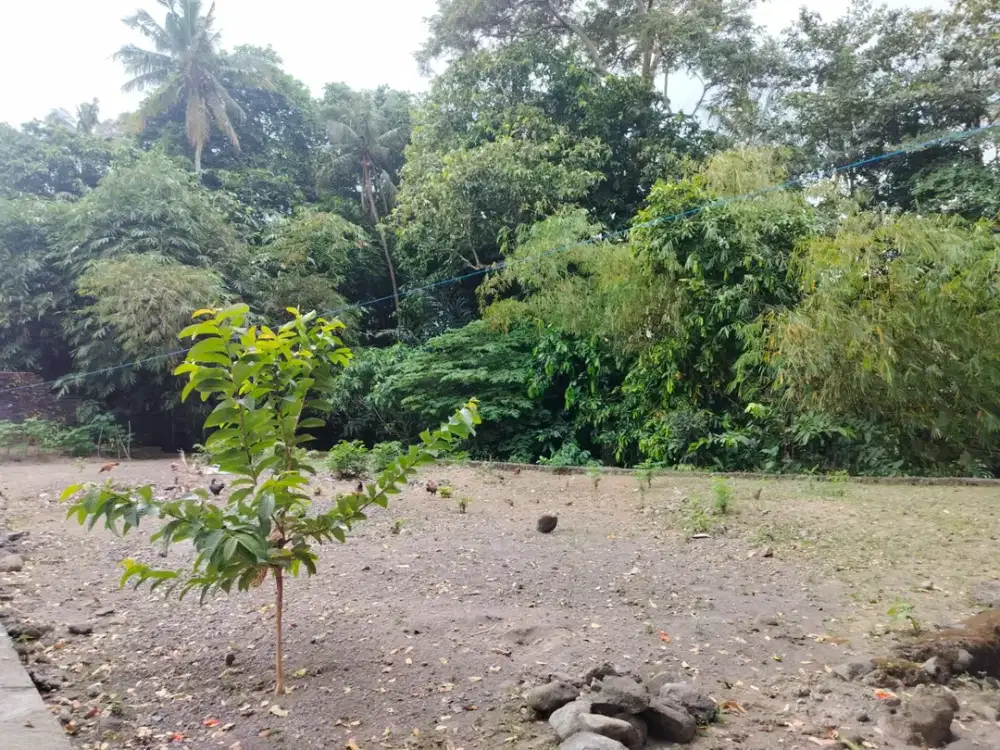 DIJUAL RUMAH MURAH DI JAKAL KM 13 HANYA 5 MENIT DARI JL. KALIURANG