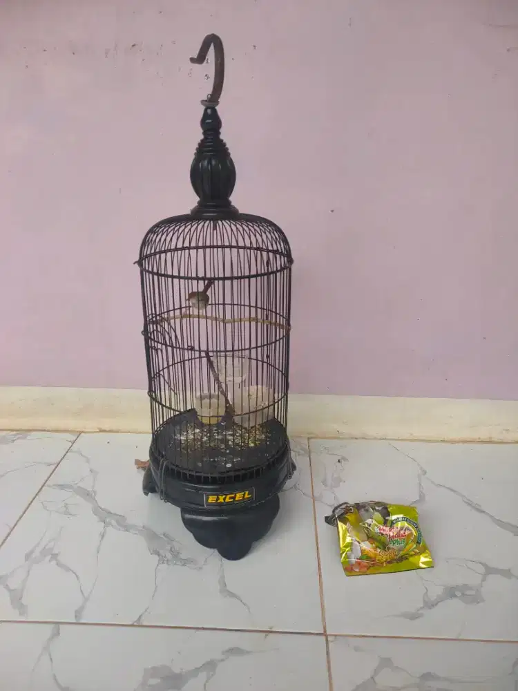 Berenjak bawah gacor