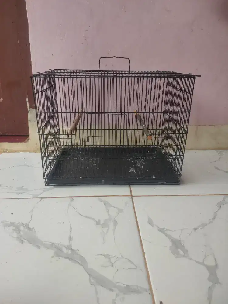 Kandang besi kotak lb