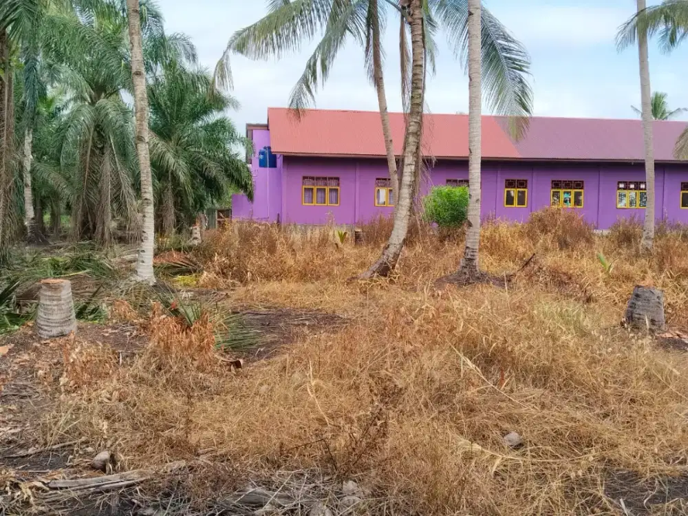 Tanah murah dan Strategis di Kota Dumai