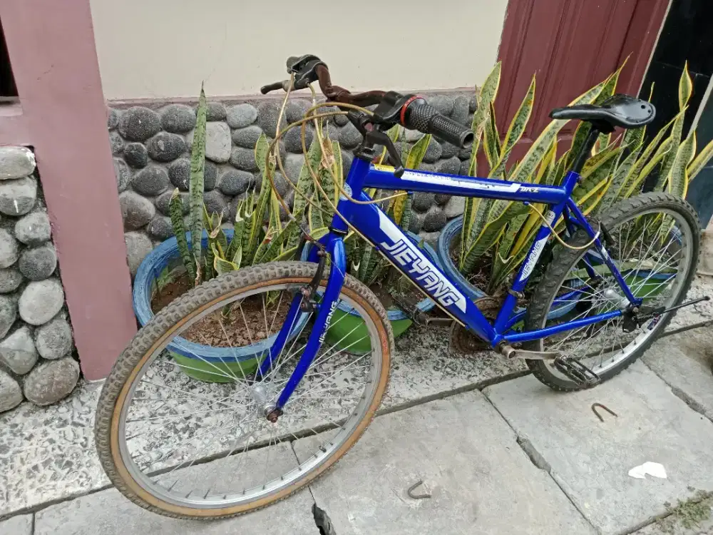 Sepeda gunung jieyang