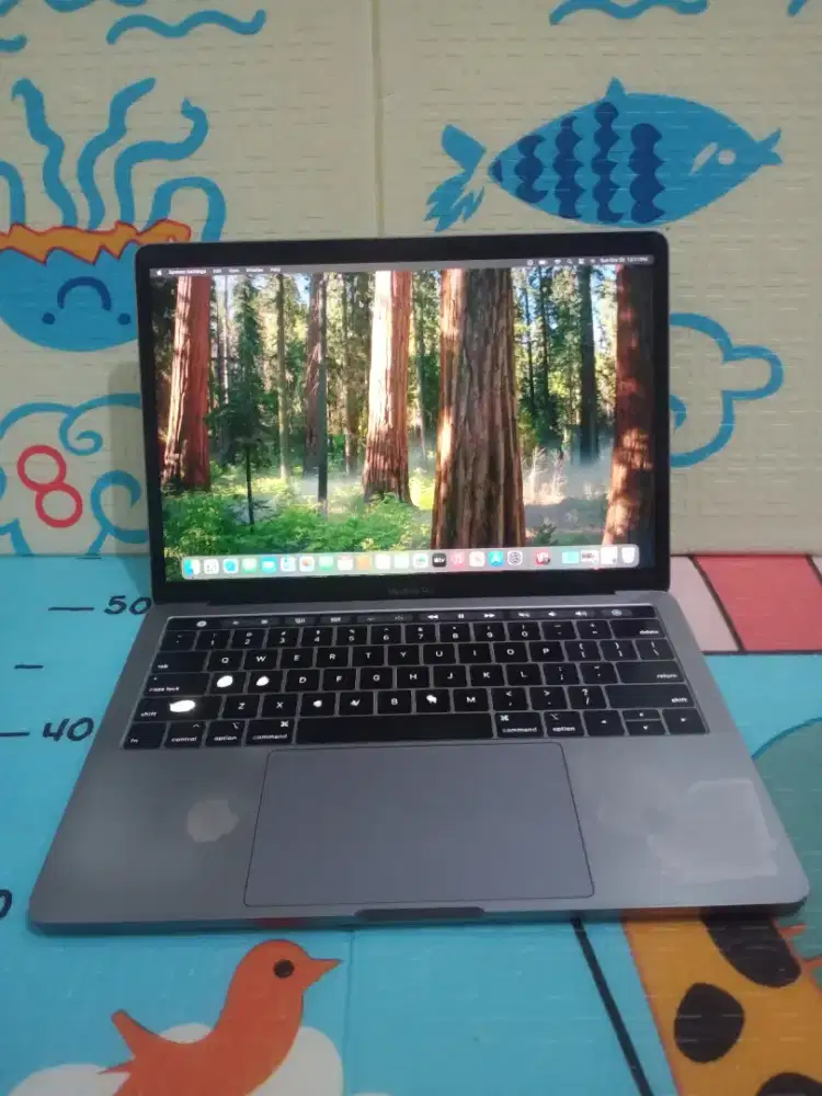 MacBook pro Retina TouchBar 13 inch 2019 Core i5
Ram 8 GB
SSD 256 GB