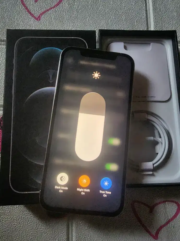 Iphone 12 pro 128gb ex inter warna silver