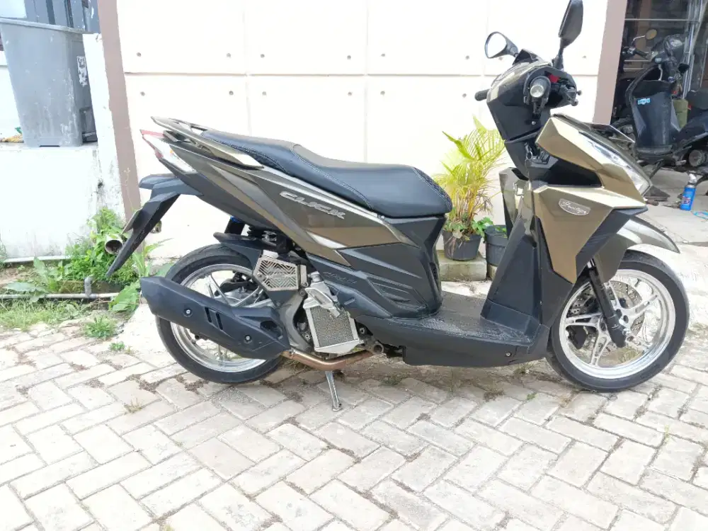 Vario 150 modif hedon