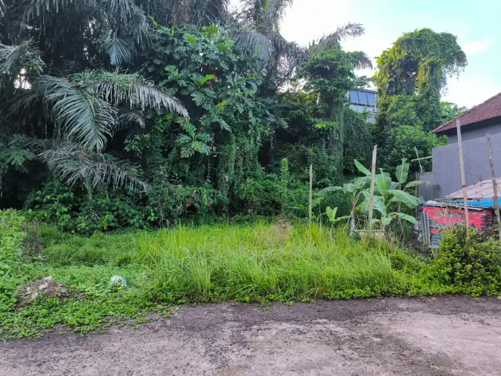 Tanah murah lokasi strategis di kota kediri tabanan