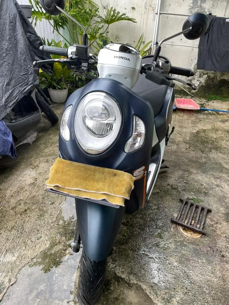 Honda Scoopy 2023