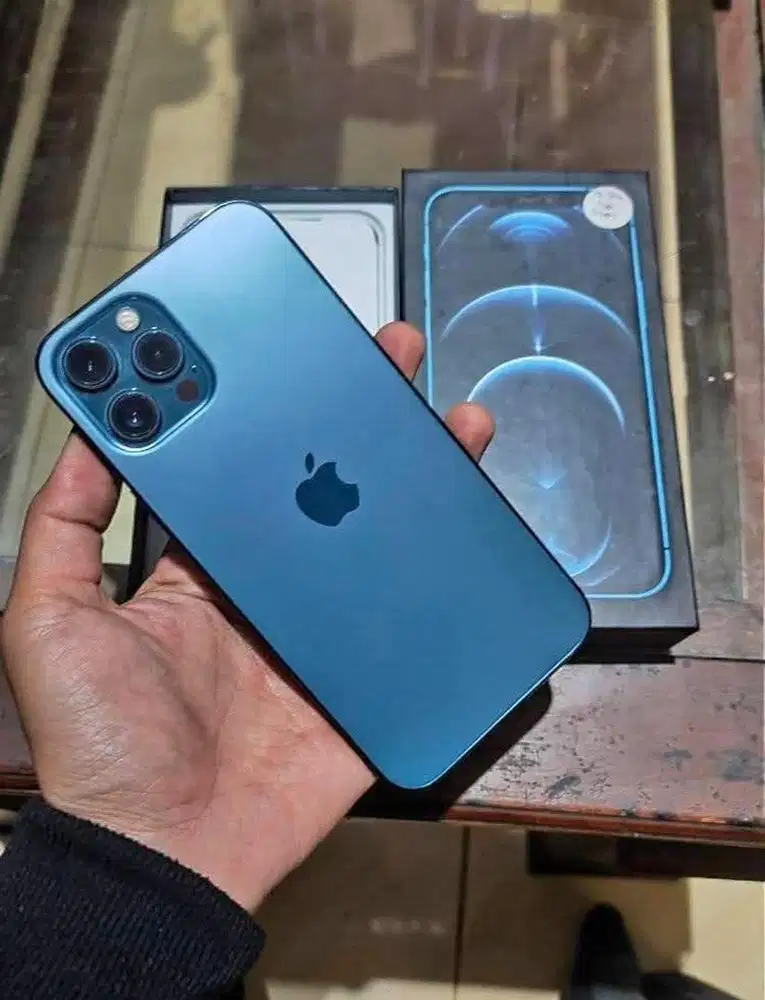 Iphone 12 Pro Max 256Gb
