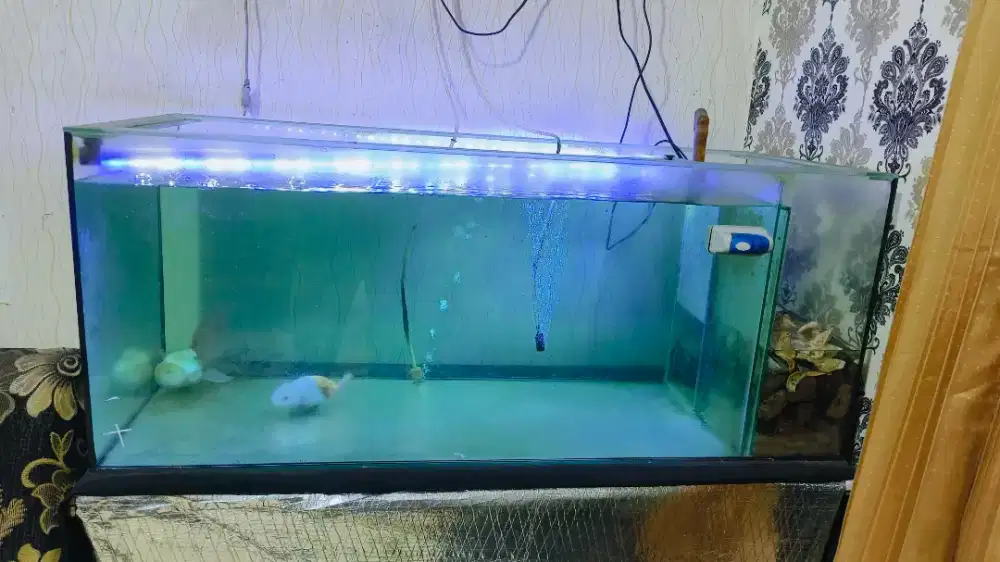 Aquarium 100x45x45 cm