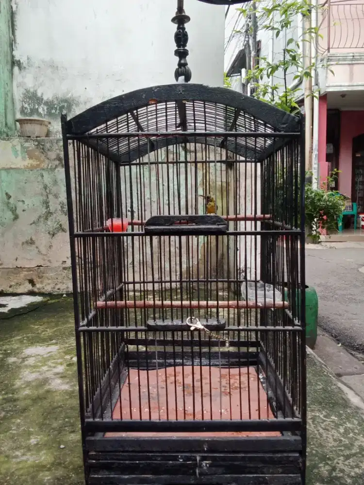 Sangkar kotak ukuran No4