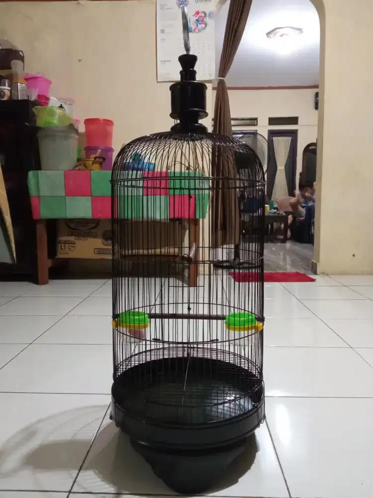 Di juaL kandang Lovebird