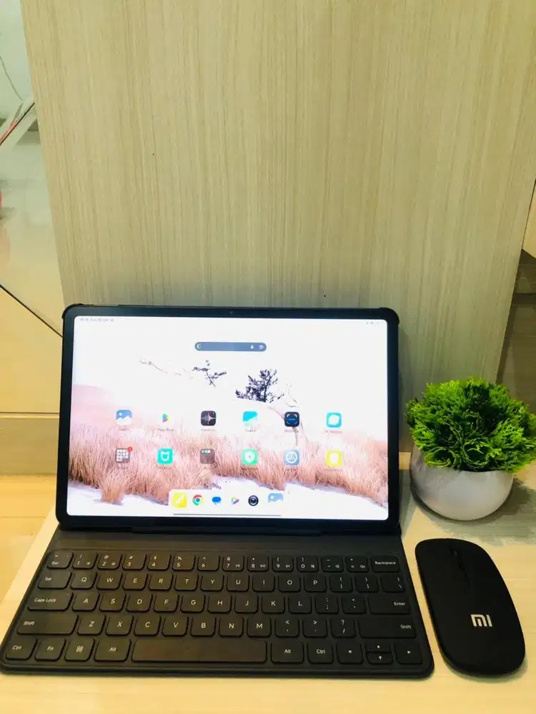 Redmi Pad Pro 8/256
