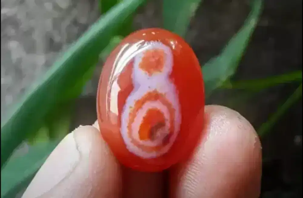 ASLI BATU RAFFLESIA ANTIK MOTIF ANGKA 8