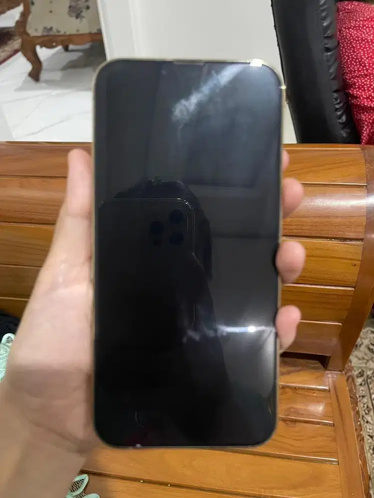 Iphone 13 promax 256gb ibox