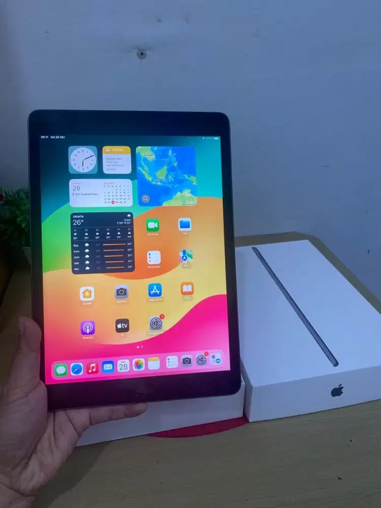 Ipad 9 256 Gb Grey Cellular + Wifi Ex IBOX