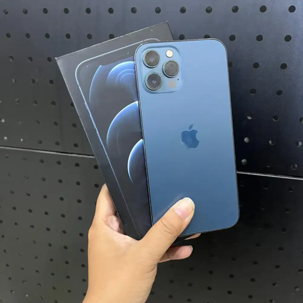 12 pro max 512GB istimewa