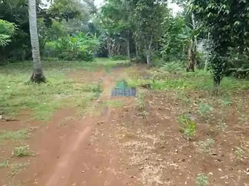 Dijual Tanah Komersial di Dangdang Cisauk Tangerang Banten