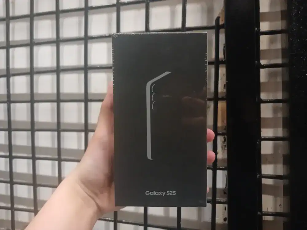 SAMSUNG GALAXY S25