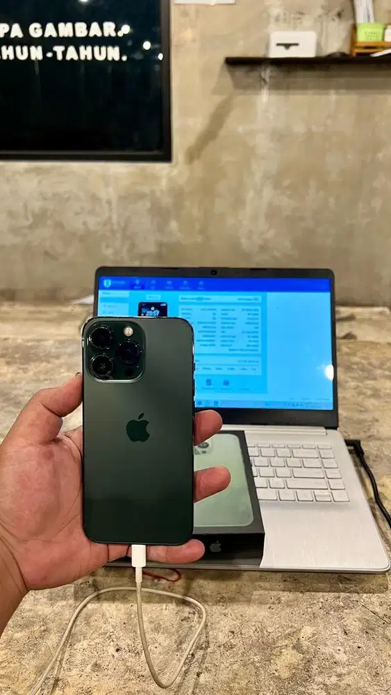 Iphone 13 pro 1tb alphine green