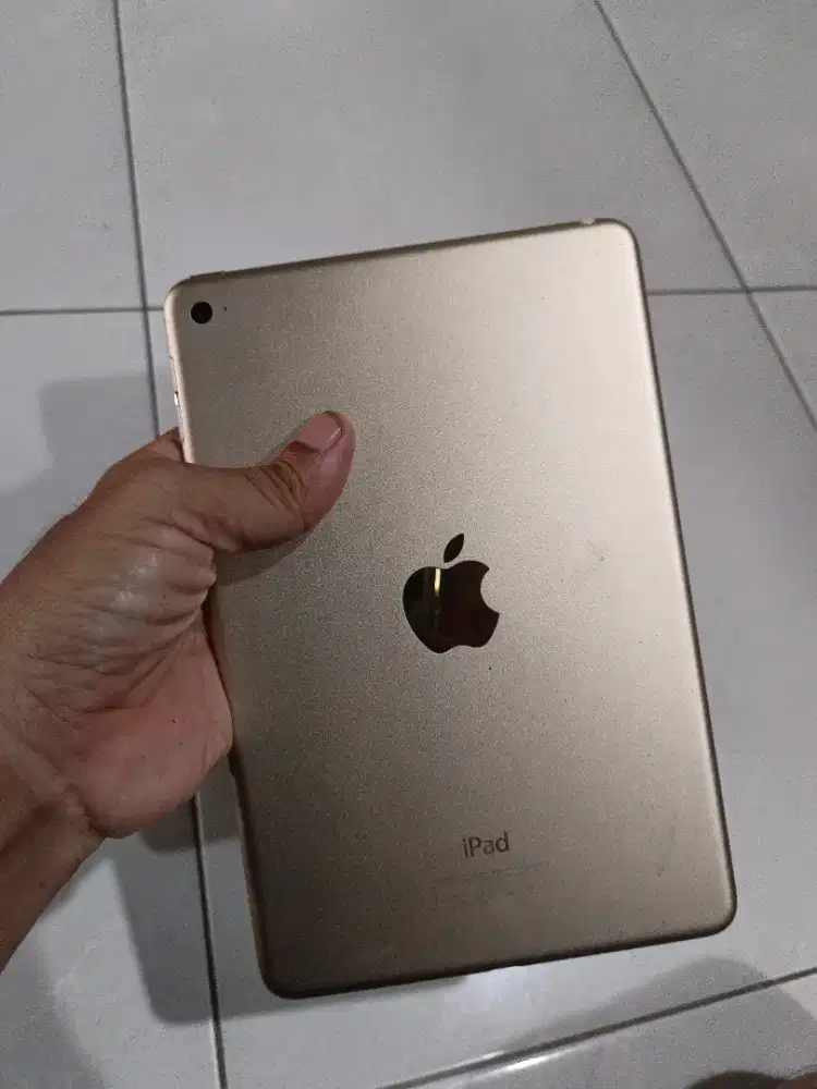 Ipad mini 4 128gb wifi only