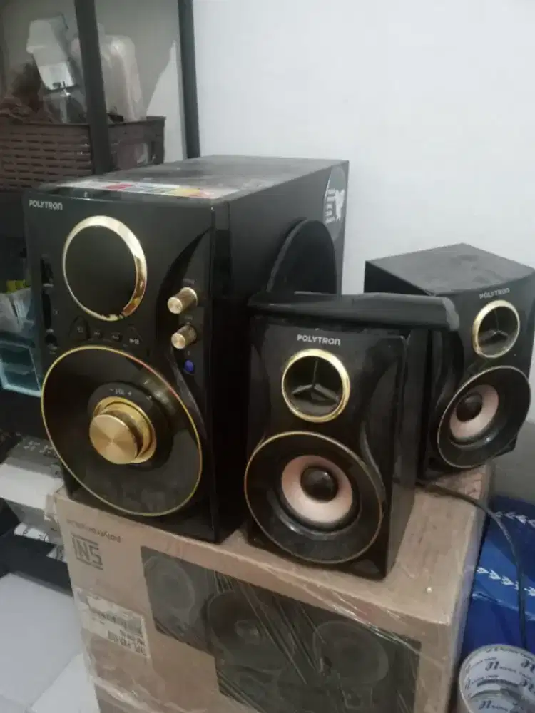 Speaker Polytron PMA930