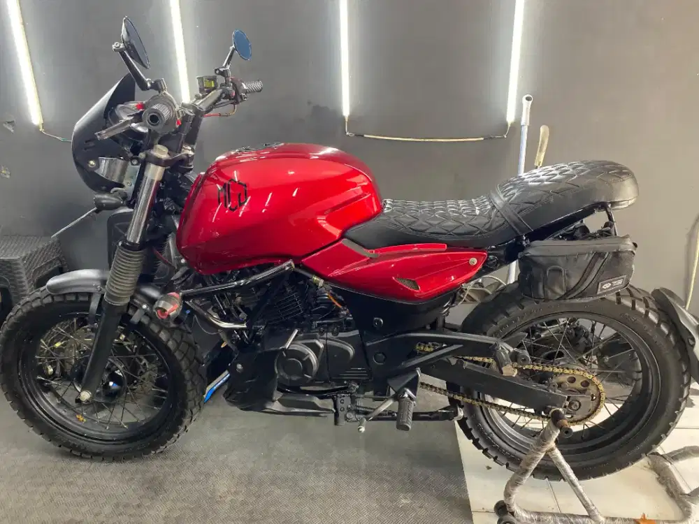 Pulsar 220 custom scrambler