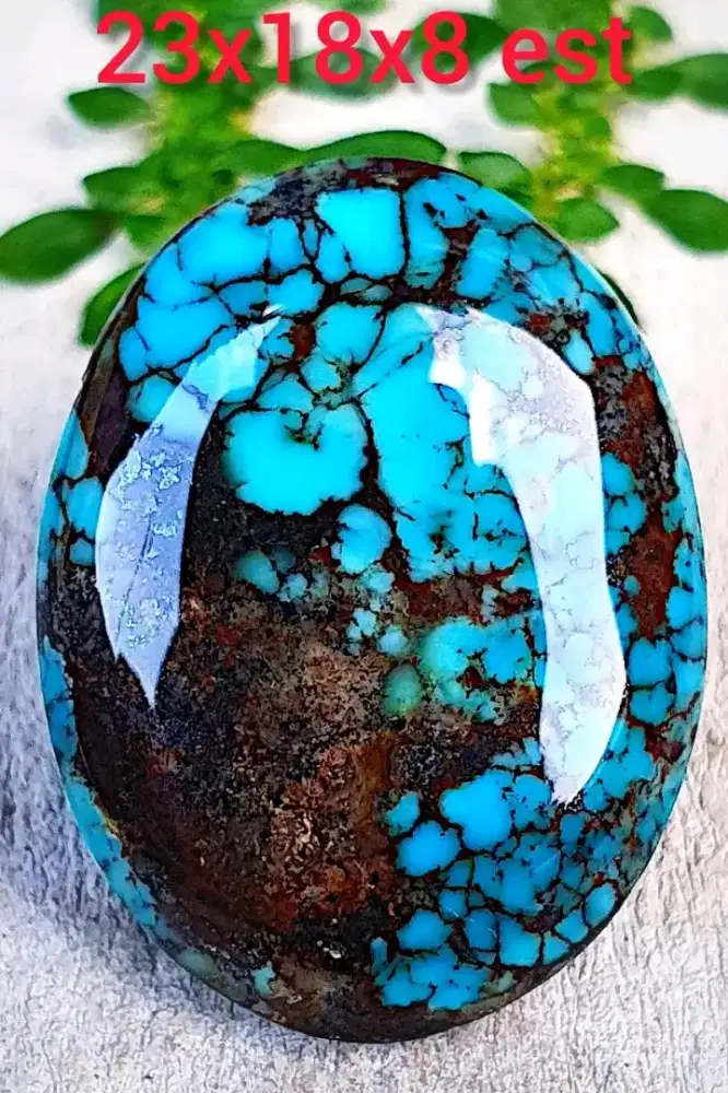 Pirus Persia Biru lawasan mewah