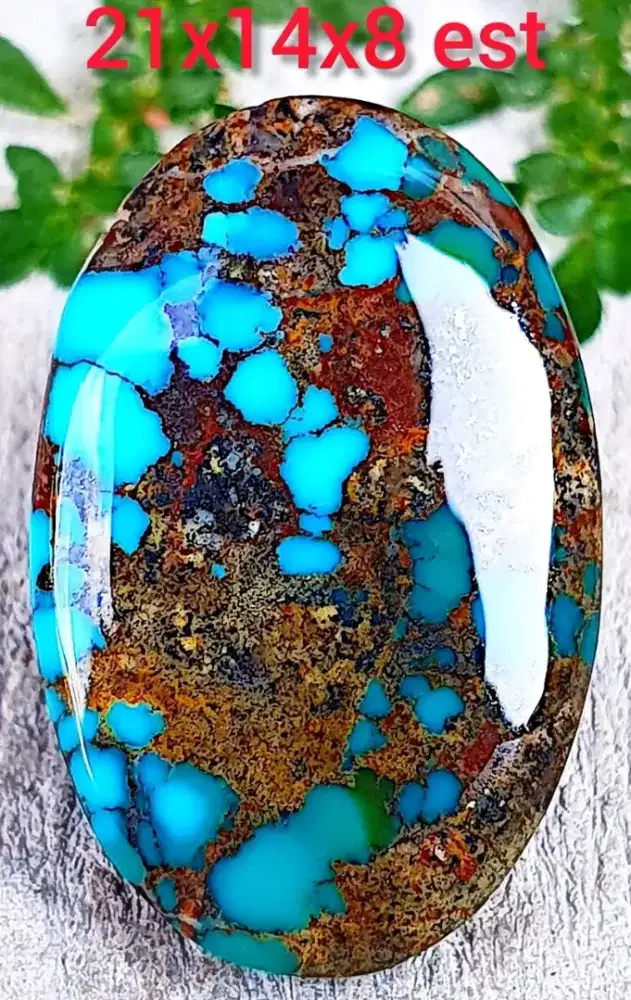 Pirus Persia lawasan mewah
