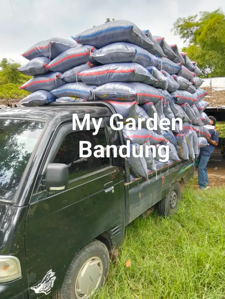 Sekam bakar murah Berkualitas