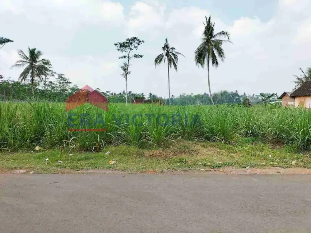 Tanah Area Pakiaaji Malang dekat Perum Pondok Rindang, cocok untuk Perumahan