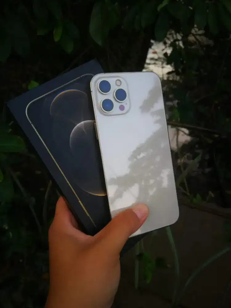 Iphone 12 Pro max 512Gb Dualsim fisik Fullset oryginal
