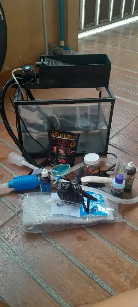 Jual  akuarimu ikan gak bisa jauh-jauh