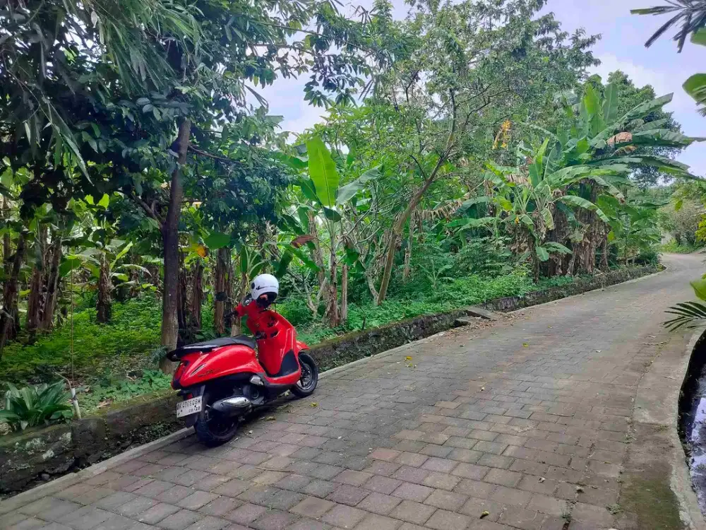 jual tanah 8,5 are hrga 550/ are zona pink. lok tanah lot