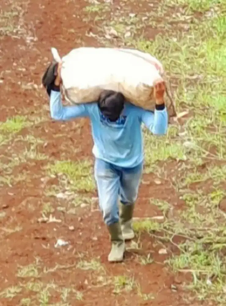 Mencari Pekerjaan Yg Nyata