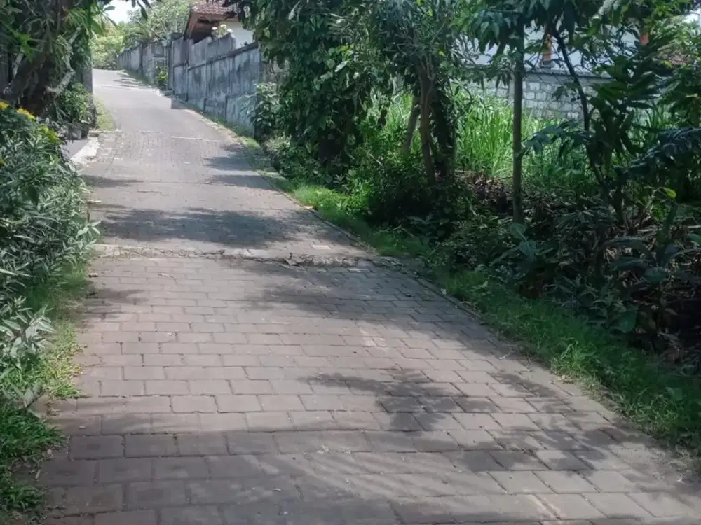 Tanah Labuan Sait Pecatu Kuta Selatan Badung Bali