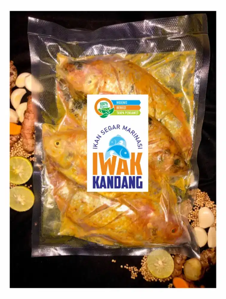 Dijual ikan marinasi dari bahan asli tanpa bahan pengawet