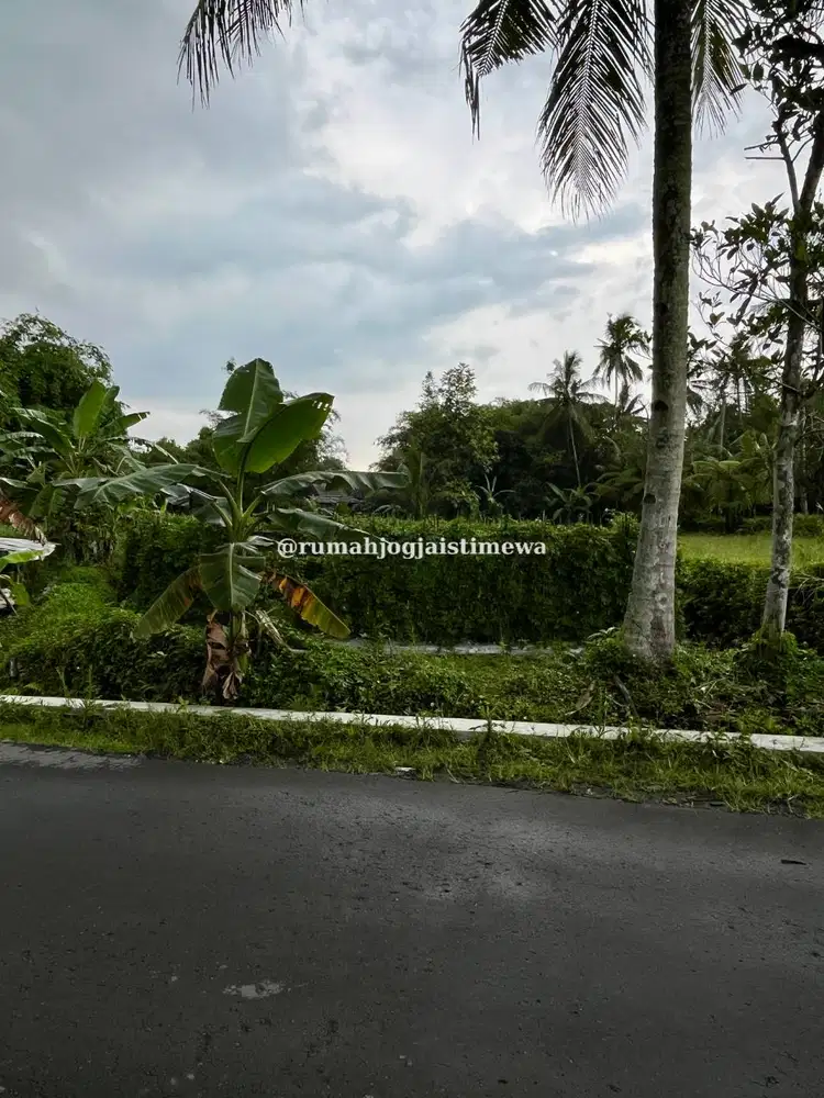 Tanah di JL Palagan Km 14 Harga Dibawah 1 Juta Per Meter